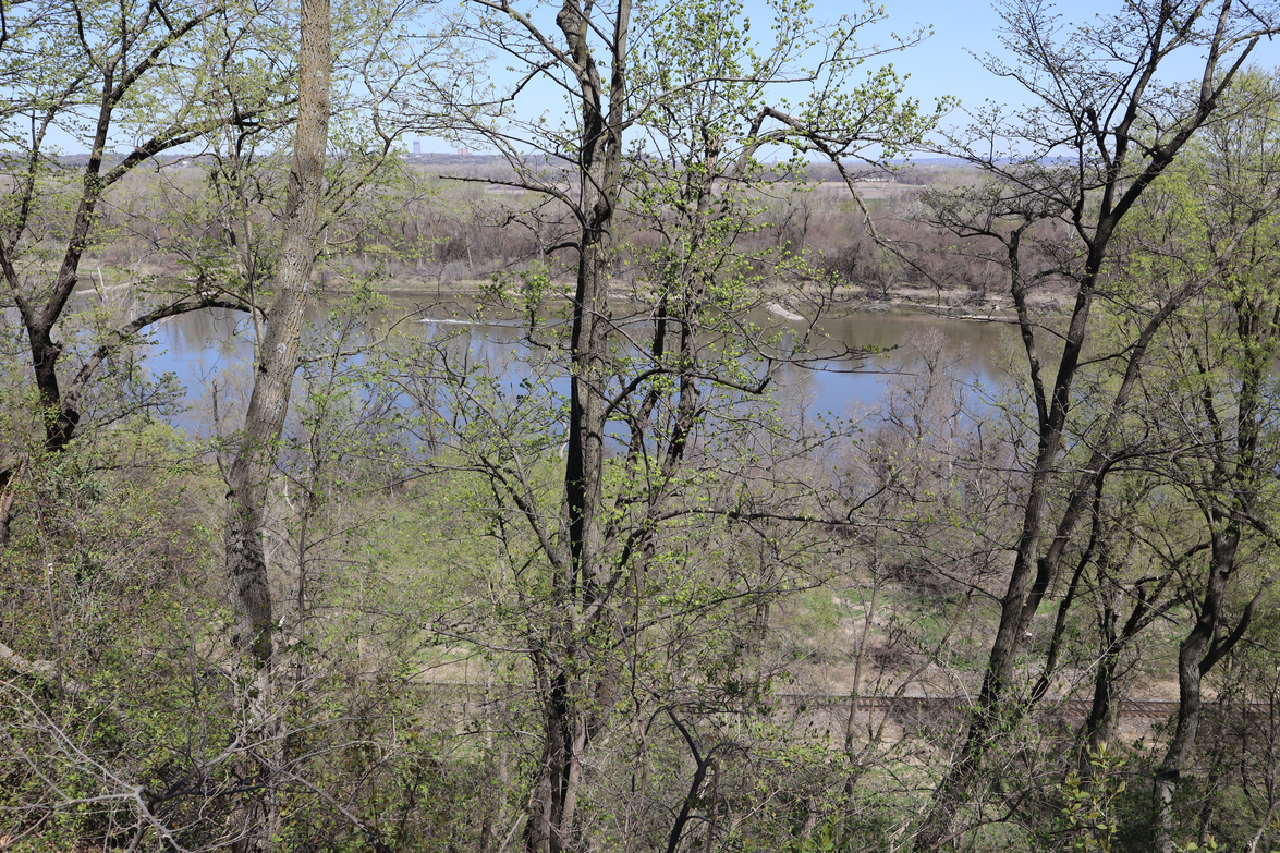 img_0035.png