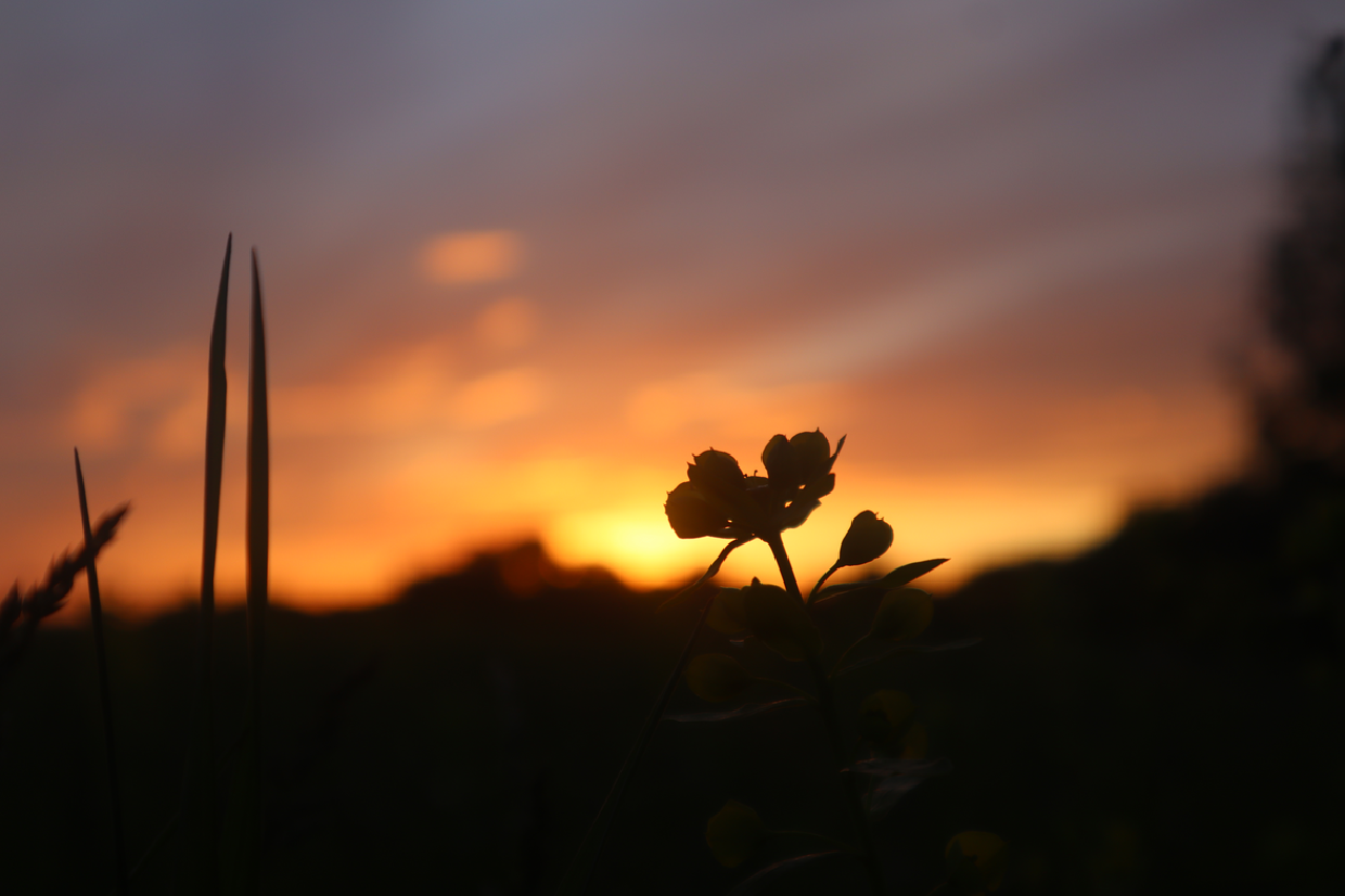 img_0967.png